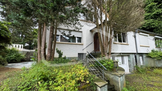 WhatsApp Image 2024-06-20 at 09.18.58.jpeg